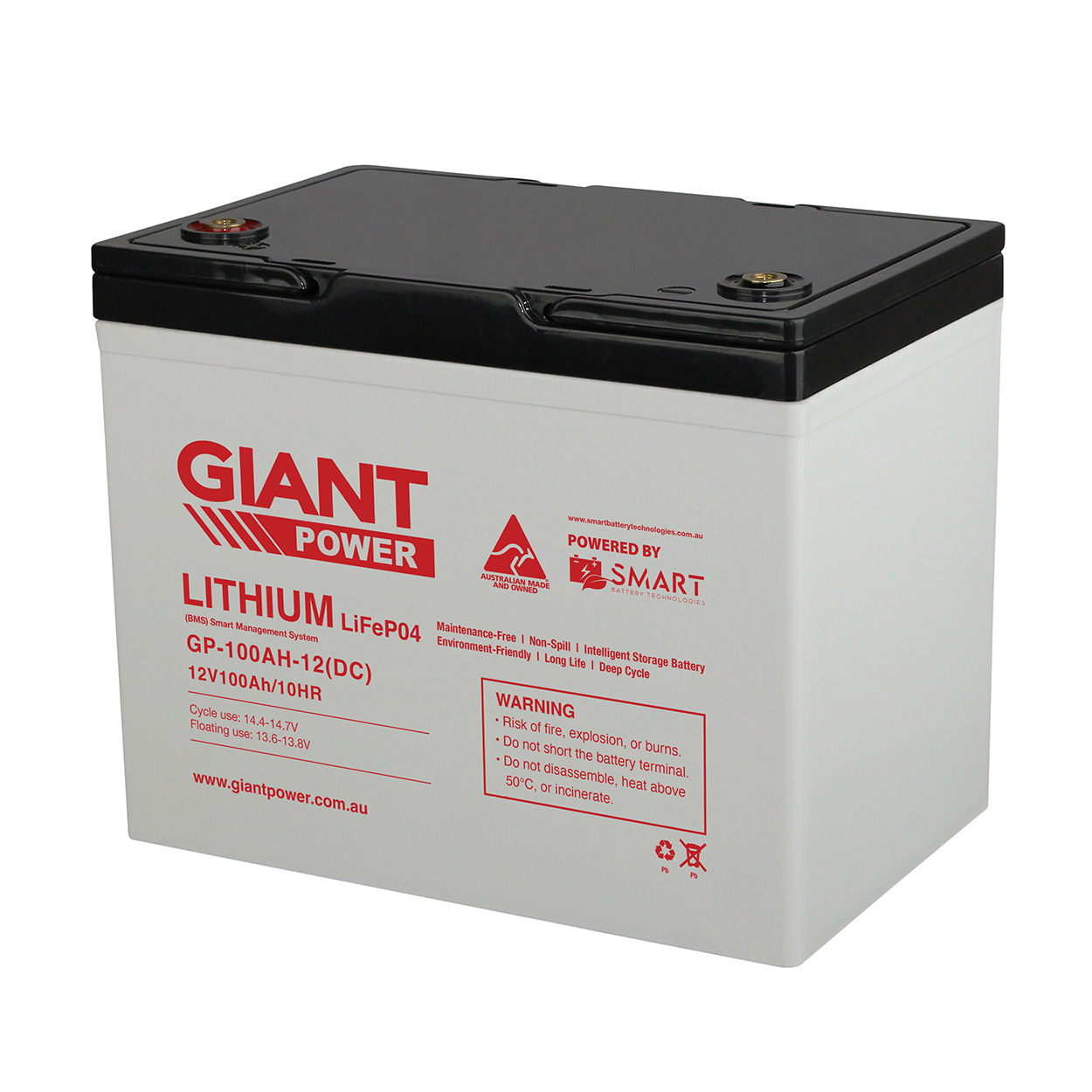Giant Power 100Ah Lithium Batteries